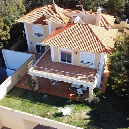 Villa Humboldt La Orotava Kültér fotó